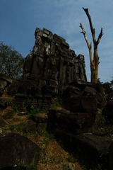 IMG_0893.JPG