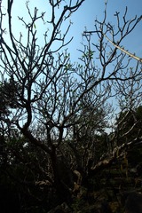 IMG_0879.JPG