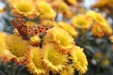 IMG_0866.JPG