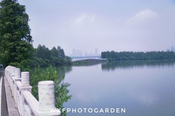 71265DE0-599D-4169-AE88-0F6DD4BAA669/L0/001