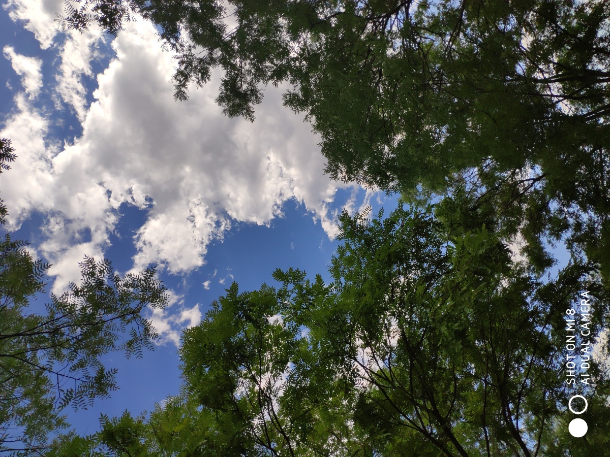 阳光明媚万物晴朗