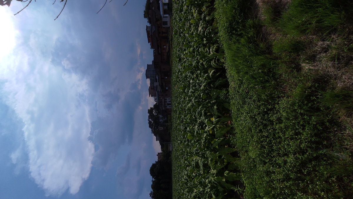 湖南郴州农村夕阳西下美景蓝天白云玉米稻田地