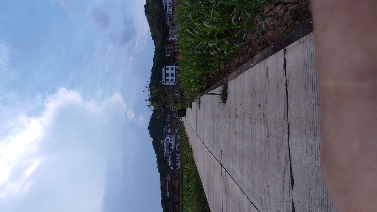 湖南郴州农村夕阳西下美景蓝天白云玉米稻田地