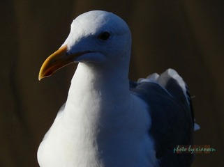pc250043_副本.jpg