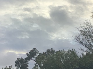 7C1DF492-D03D-4325-B870-A746A7538CF7/L0/001