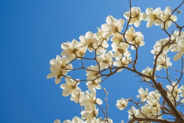 EF2F0004-D13C-47B1-8B80-EF7EEE222B0C/L0/001