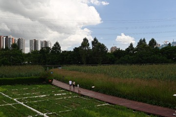 9BB88B44-F545-44F7-A6E1-7C43BA2420AD/L0/001