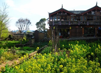 06