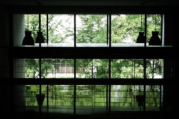 DSCN5095_3.jpg