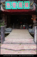 P1000078.JPG