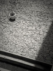 DSCN02822.JPG