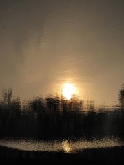 IMG_03390.JPG
