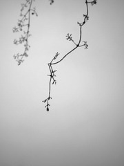 IMG_02761.JPG
