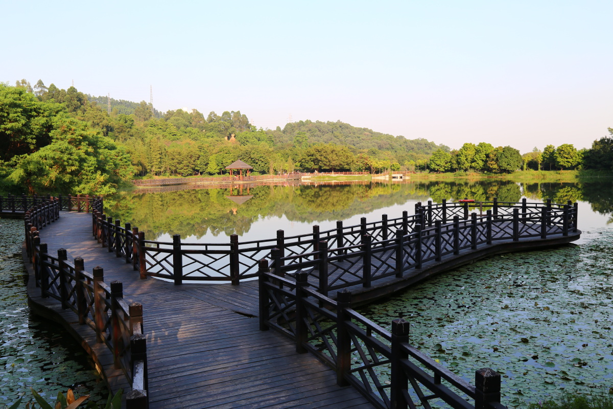 休闲之地～广州大夫山森林公园.