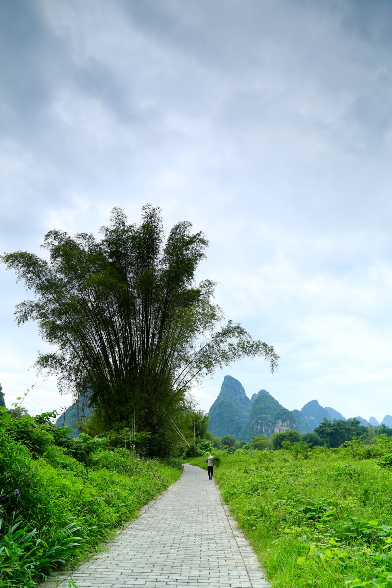 阳朔田间小道