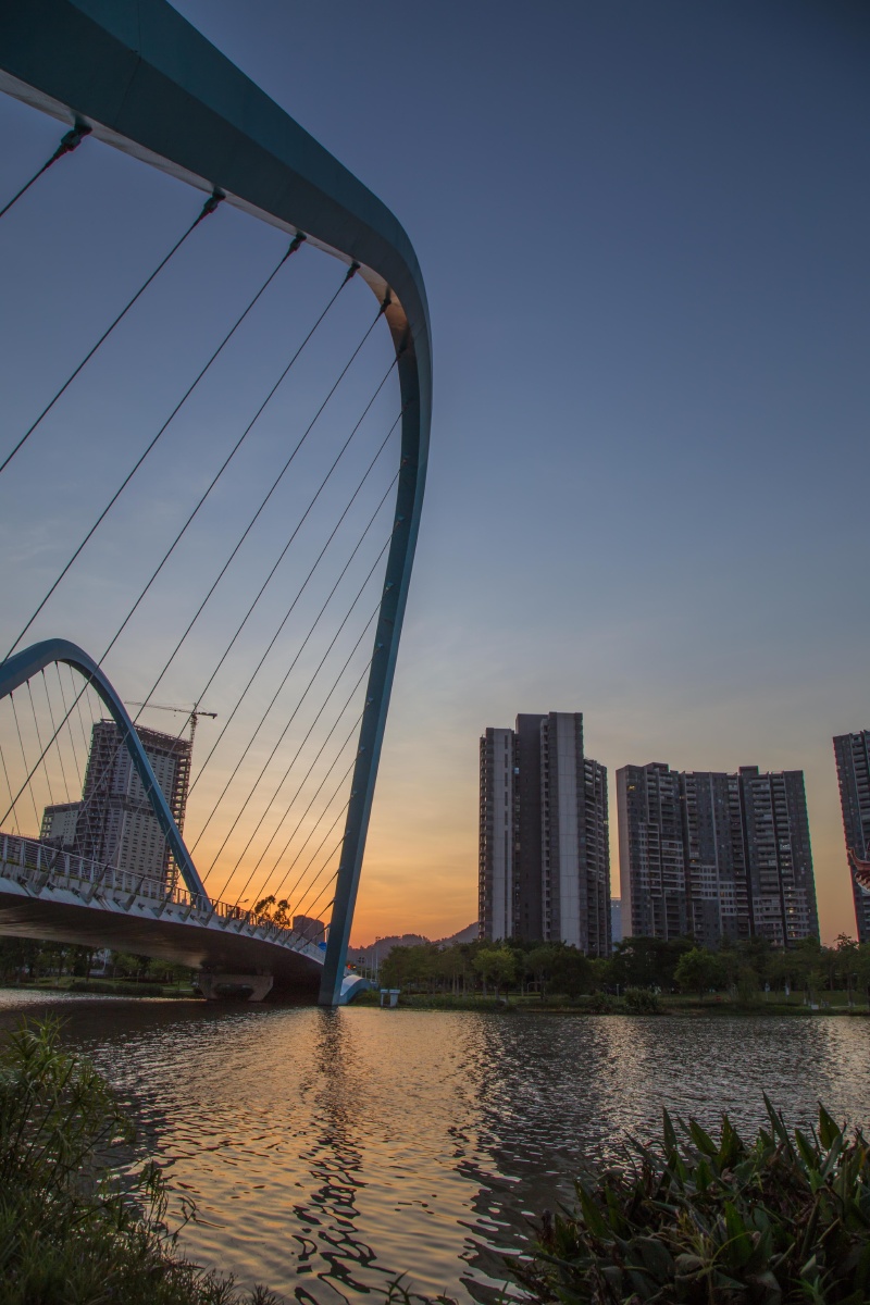 曲线南沙蕉门大桥.