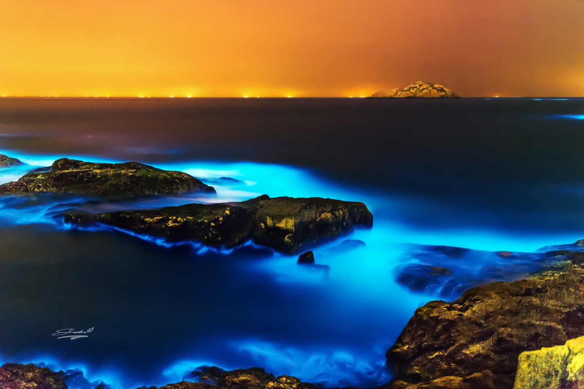 花鸟岛·荧光海