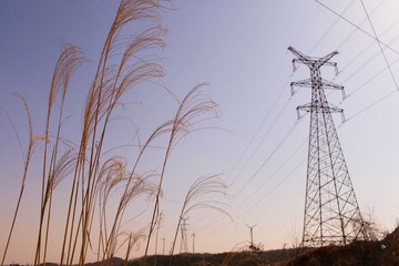 IMG_0452.jpg