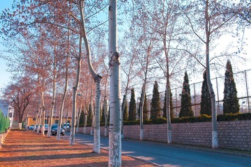 IMG_0792.jpg