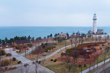 IMG_1266.jpg