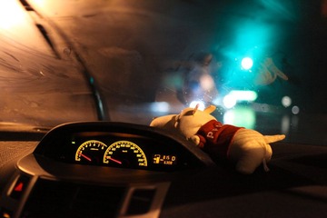 IMG_1505.jpg