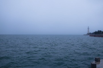 IMG_1325.jpg