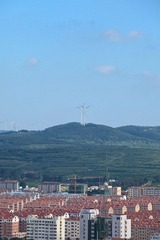 IMG_1585.jpg