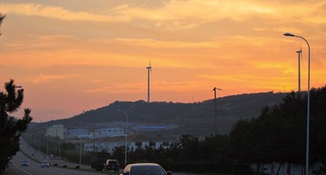 IMG_1826.jpg
