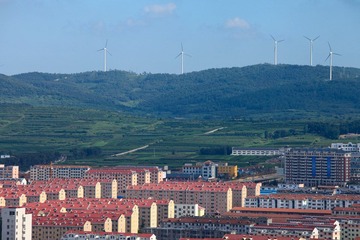 IMG_1626.jpg