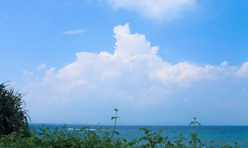 IMG_6256.jpg