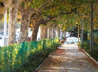 IMG_6921.jpg