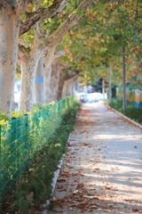 IMG_6918-2.jpg