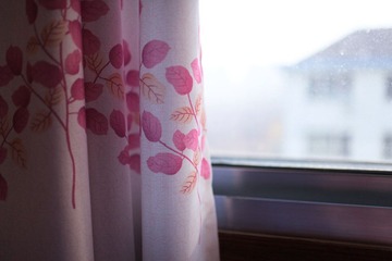 IMG_6962.jpg