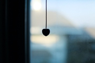 IMG_7121.jpg