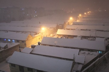 IMG_7639.jpg
