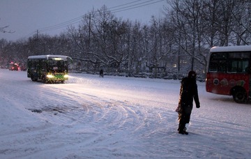 IMG_7930.jpg