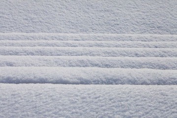 IMG_8034.jpg