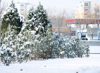 IMG_8115.jpg