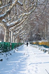 IMG_8157.jpg