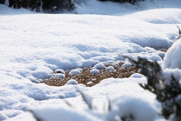 IMG_8025-2.jpg