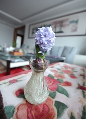 IMG_9729.jpg