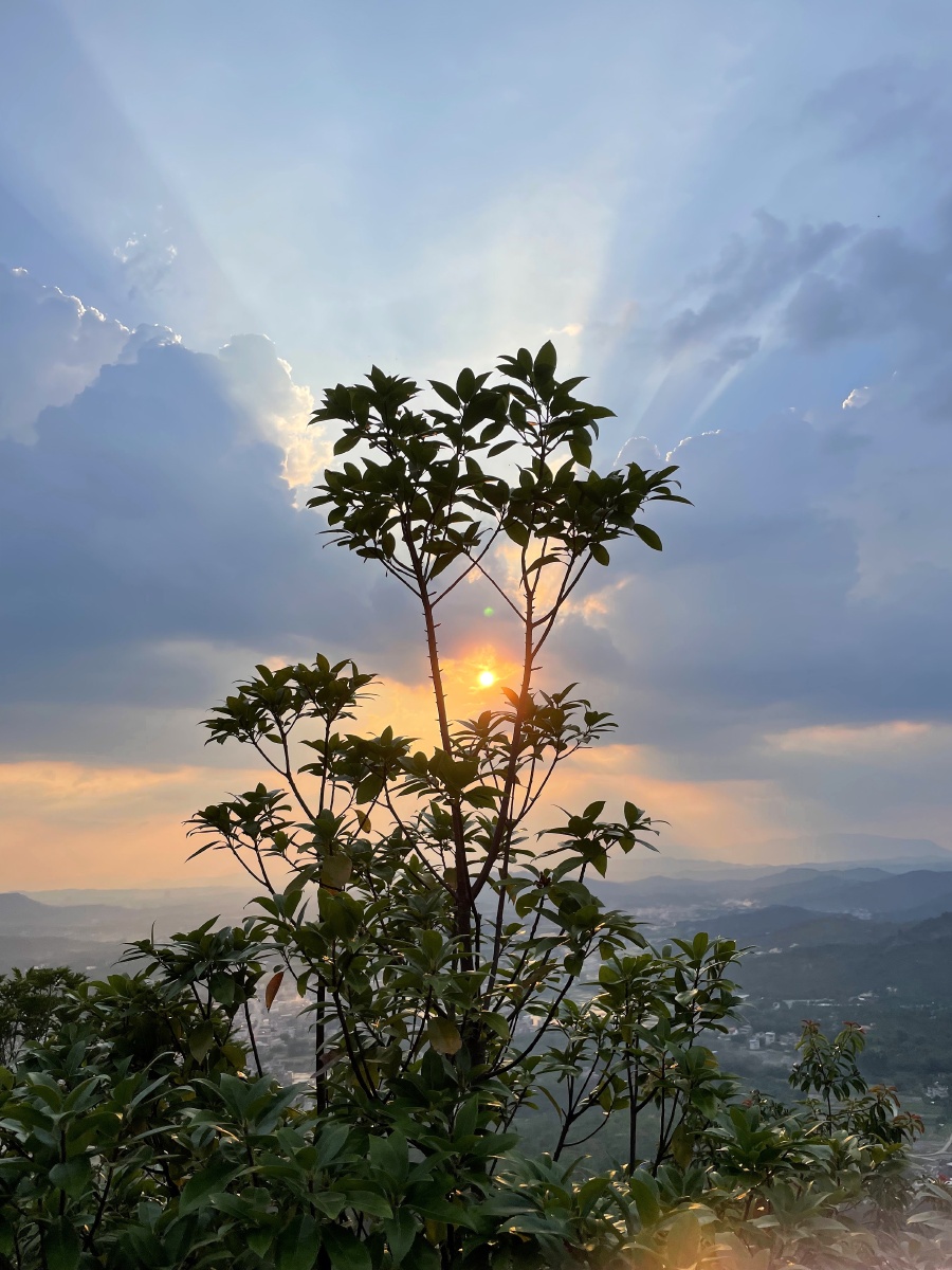 雨后放晴的天空