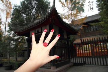 IMG_4852.JPG