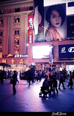 IMG_0803_10.jpg