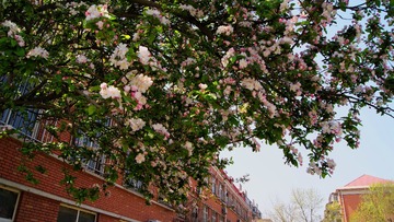 DSC03061 169