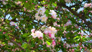 DSC03060 169