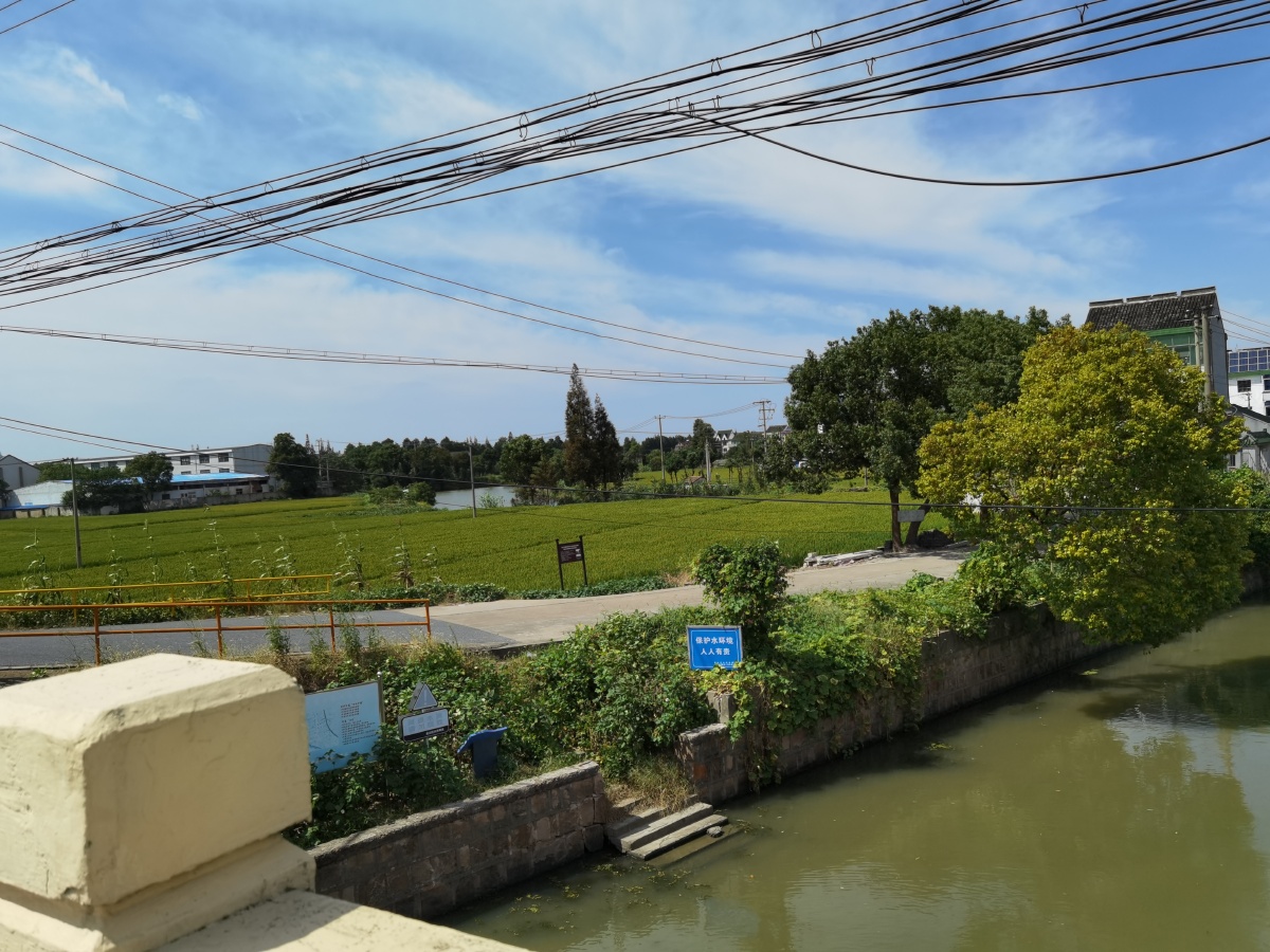 25多云28度,乡村,小镇,纪实:钱圩镇的圩我一开始吃不准读什么,心想是