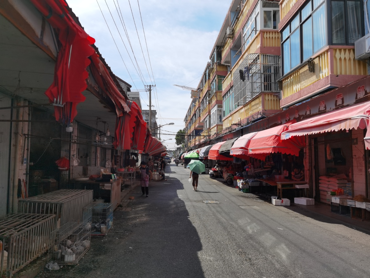 25多云28度,乡村,小镇,纪实:钱圩镇的圩我一开始吃不准读什么,心想是