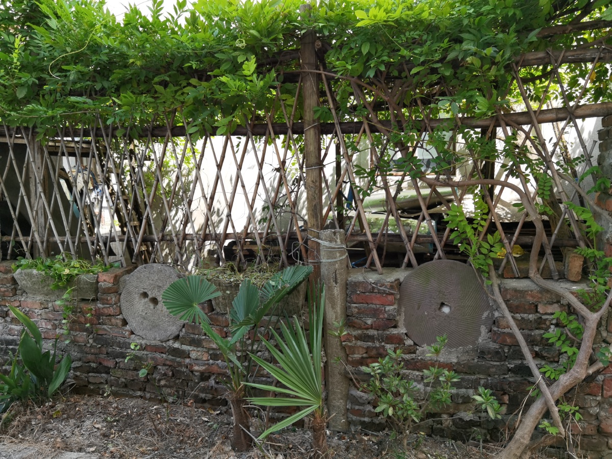 25多云28度,乡村,小镇,纪实:钱圩镇的圩我一开始吃不准读什么,心想是