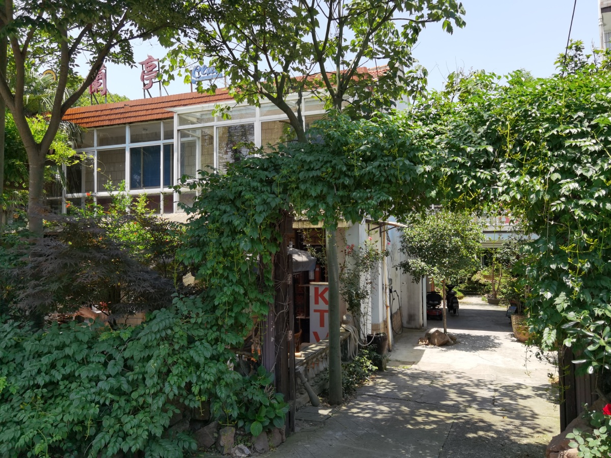 干巷镇,老街,老建筑,情趣,乡村,纪实经过荣昌路时看到有家招牌:天下第